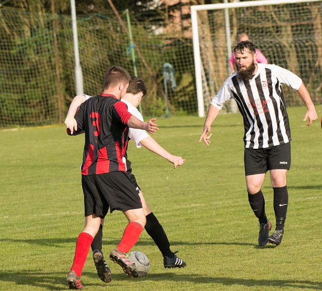 仅赢得了观 仅赢得了观