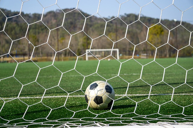 吸引了大量 吸引了大量