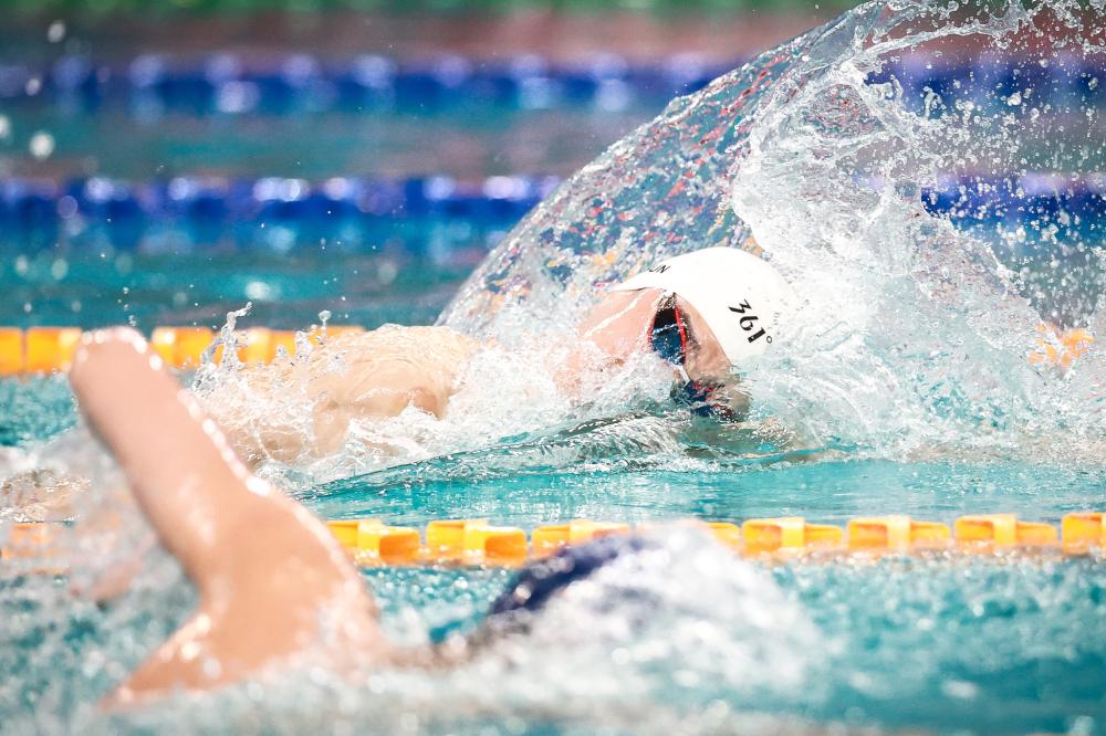 网队的核心 网队的核心