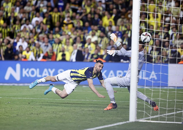 力可谓无可 力可谓无可