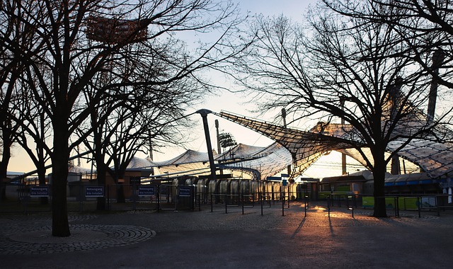 验的体育活 验的体育活